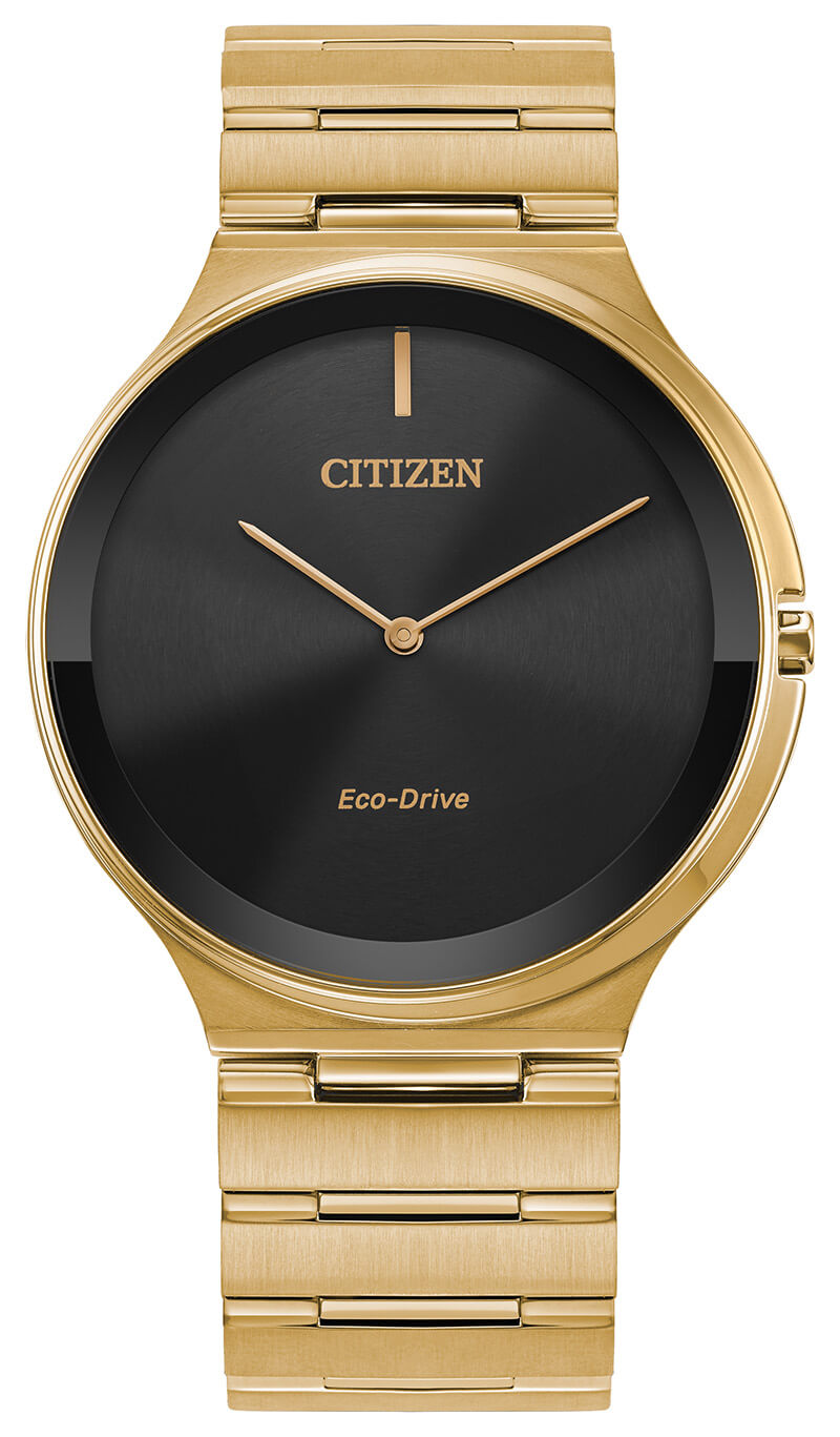 Citizen Eco-Drive AR3112-57E Unisex Watch